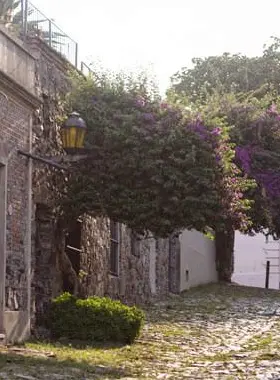 Colonia