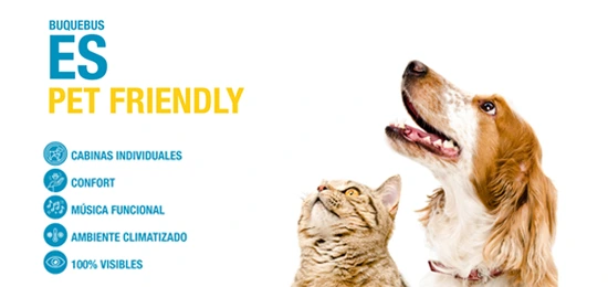 Mascotas Buquebus imagen Mob