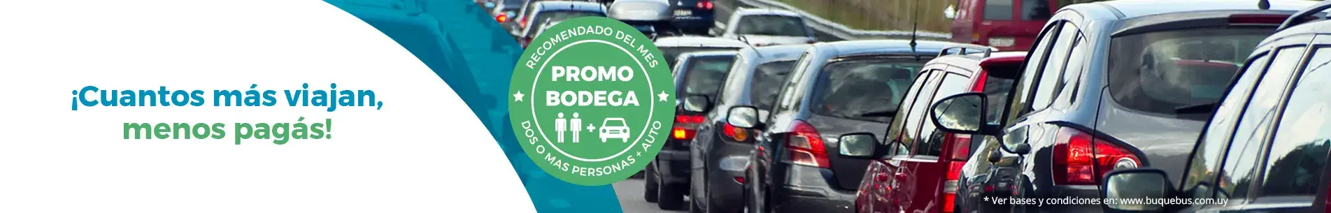 Promo Bodega Web